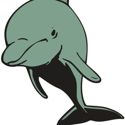 AR DOLPIN 11 RC Thumbnail