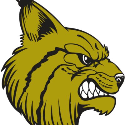 BAW BOBCAT 16 RC Thumbnail