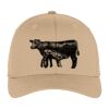 Flexfit ® Cap Thumbnail